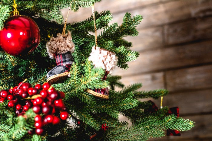 CHRISTMAS GIFT GUIDE FOR SPORT & FITNESS FANS